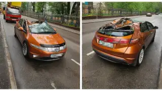 Дерево рухнуло на автомобиль на улице в Алматы