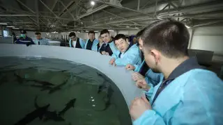 Как развивают рыбное хозяйство в Мангистау