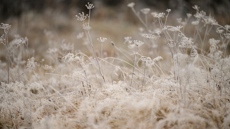 Фото:depositphotos.com