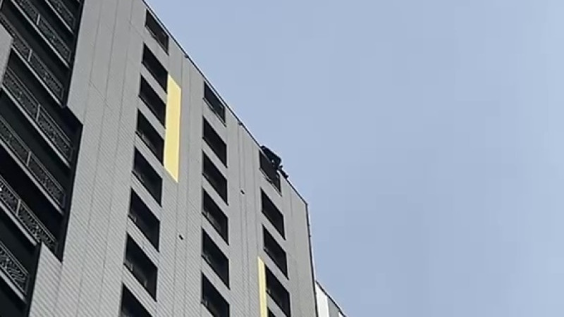 Кадр из видео