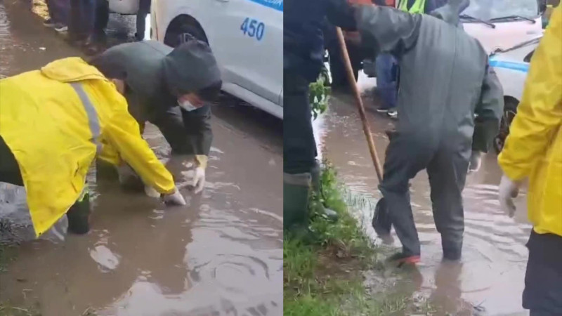 Кадры из видео