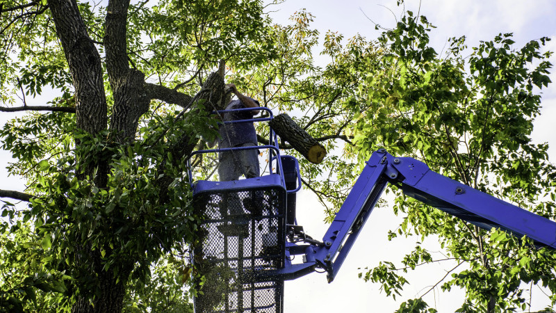 Фото:depositphotos.com