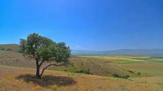 Жара до 32 градусов придёт в Казахстан