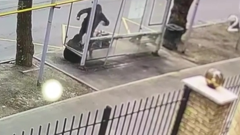 Кадр из видео