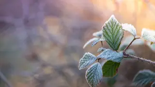 Астану ждут заморозки, в Алматы пройдут дожди и грозы: погода на 26-28 апреля