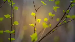 Грозы, град и 30-градусная жара: какой будет погода в Казахстане 26 апреля