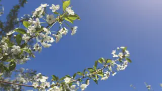 Тепло вернётся в Казахстан, местами пройдут дожди: прогноз погоды на 29 апреля