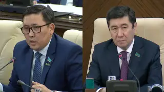 “Выбирайте слова“ - спикер Мажилиса сделал замечание депутату