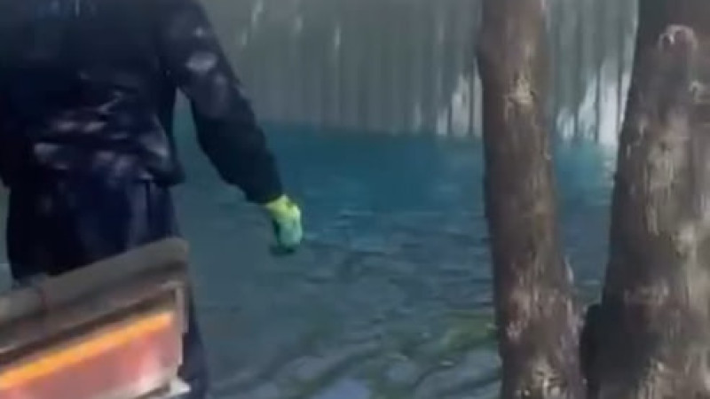 Кадр из видео