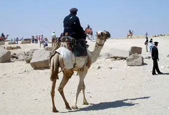 Египет обгонит Турцию по количеству российских туристов