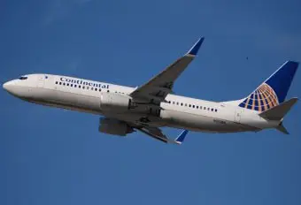 Американская компания испытала топливо из водорослей