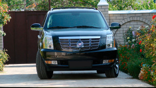 Фото: Alexander7388