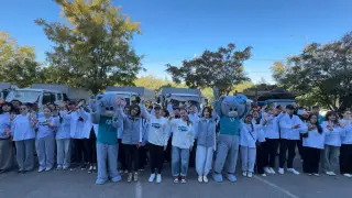 Шымкент присоединился ко Всемирному дню чистоты